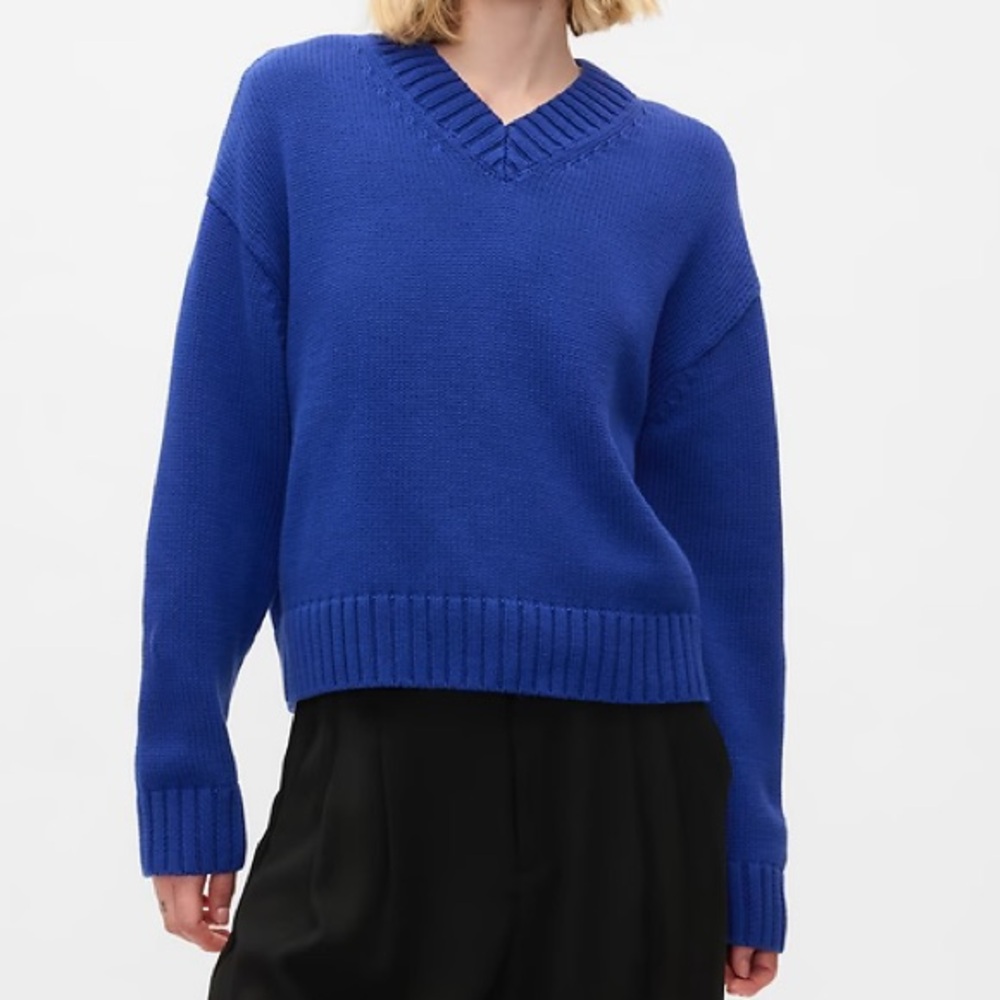 GAP Royal Blue V-Neck Sweater